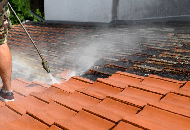 Best Local Pressure Washing Services  in Dolgeville, NY