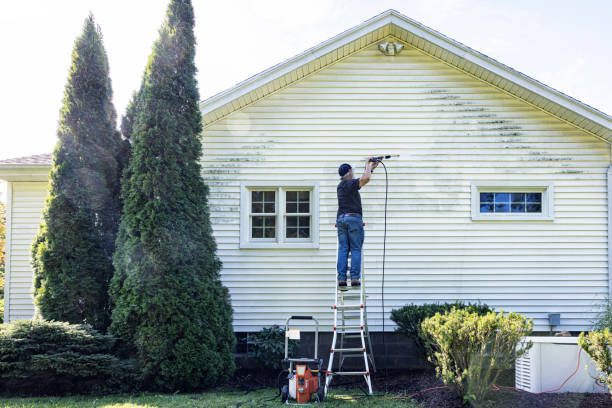 Best Deck Pressure Washing  in Dolgeville, NY