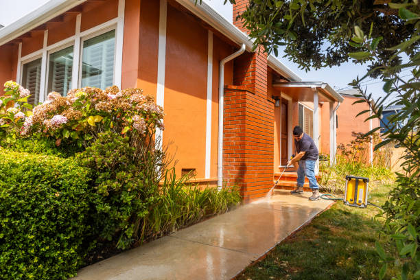 Best House Pressure Washing  in Dolgeville, NY