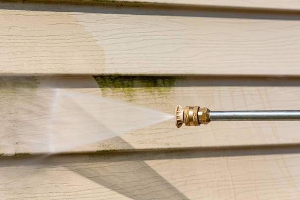 Best Deck Pressure Washing  in Dolgeville, NY